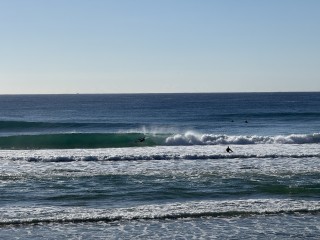 August Gold Coast